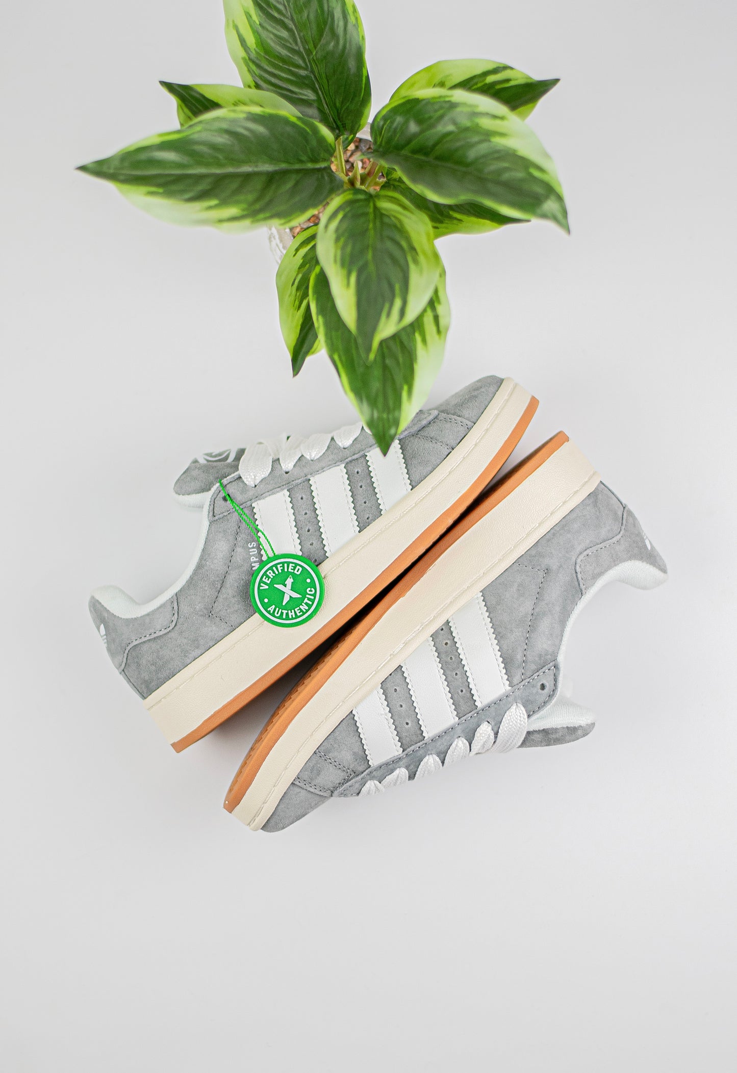 Adidas campus