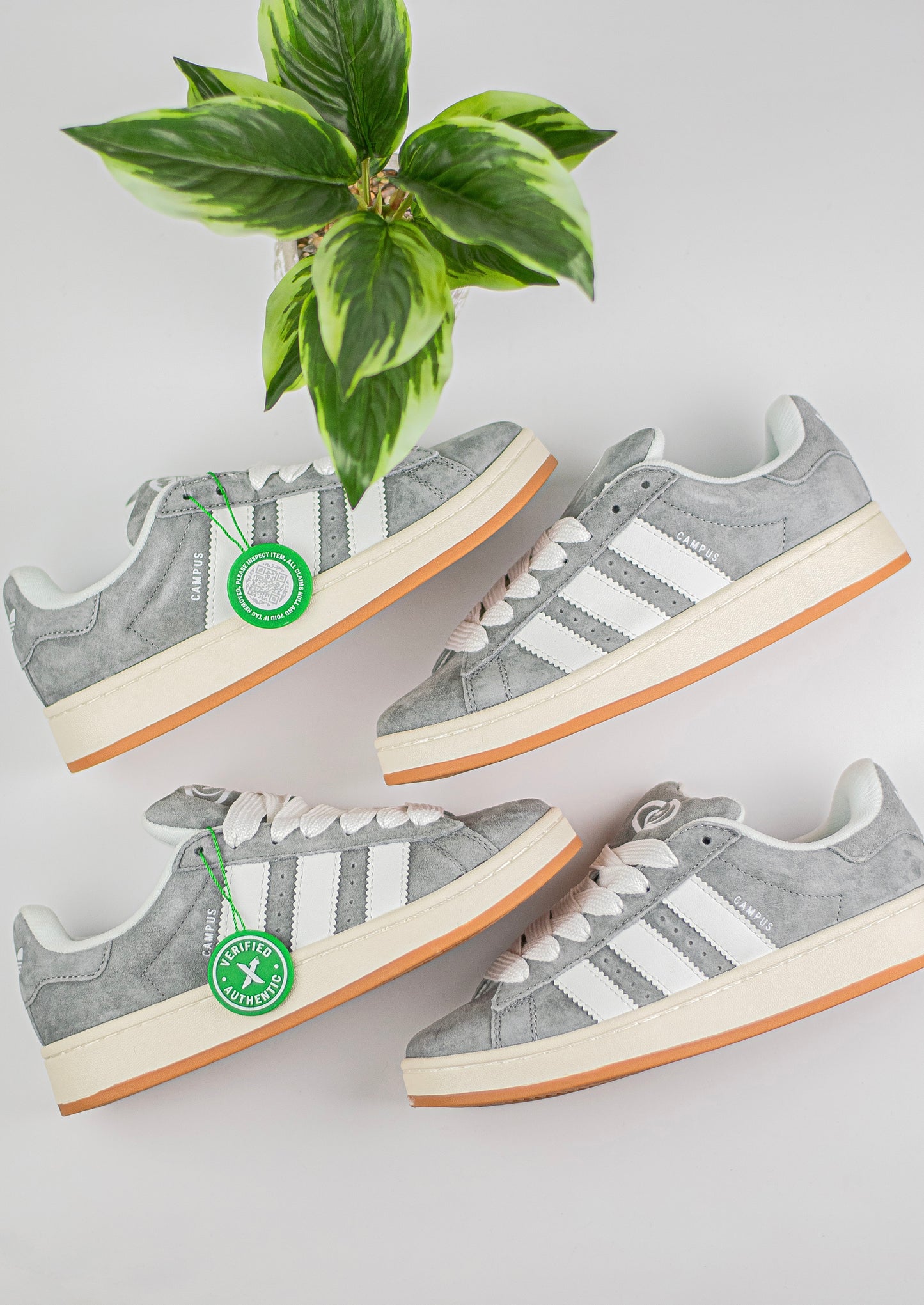 Adidas campus