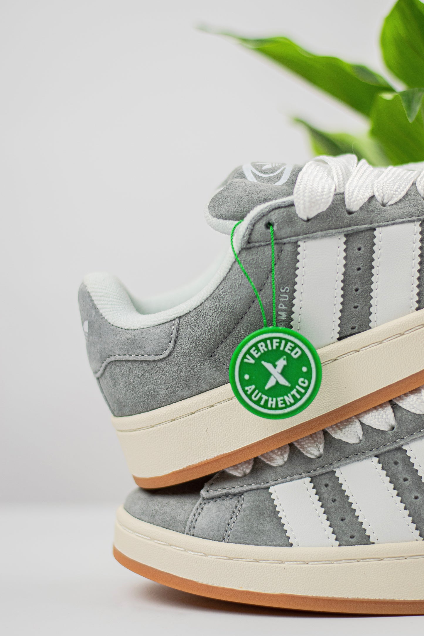 Adidas campus