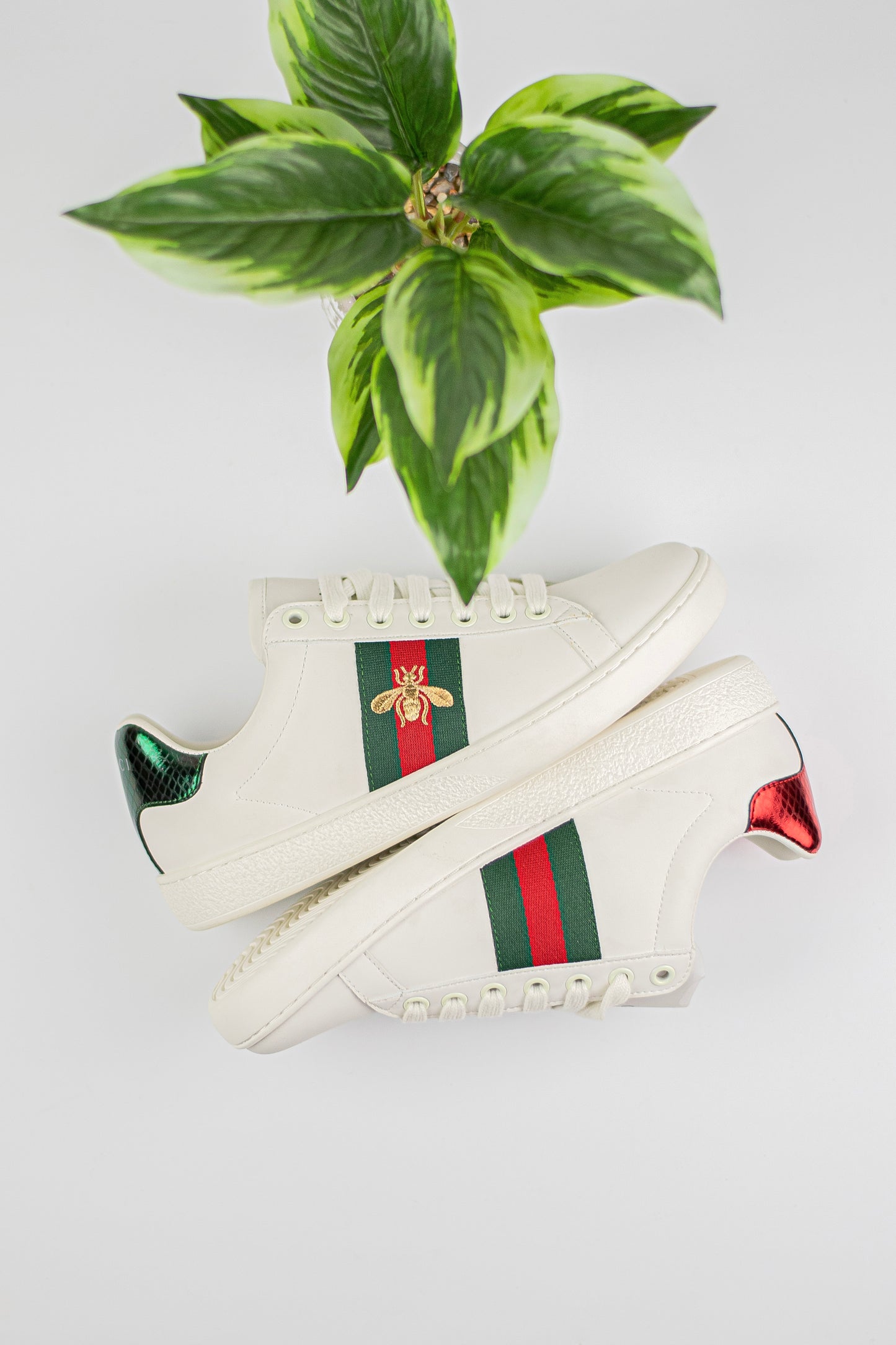 Gucci ace sneaker with bee