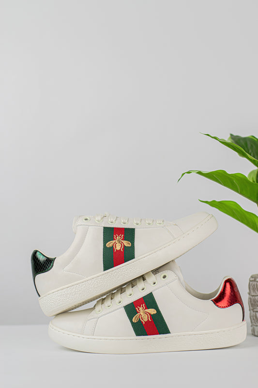 Gucci ace sneaker with bee
