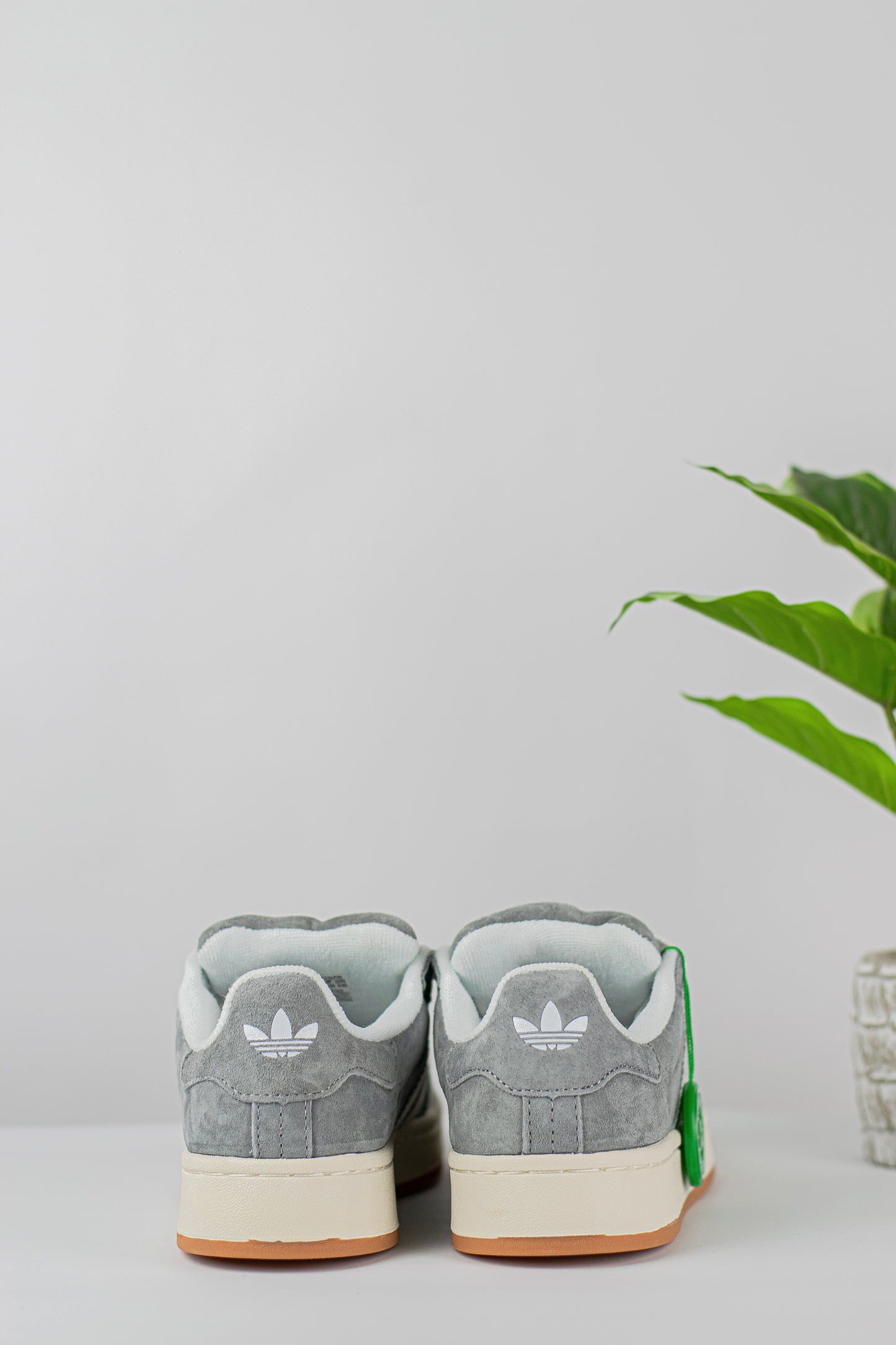 Adidas campus
