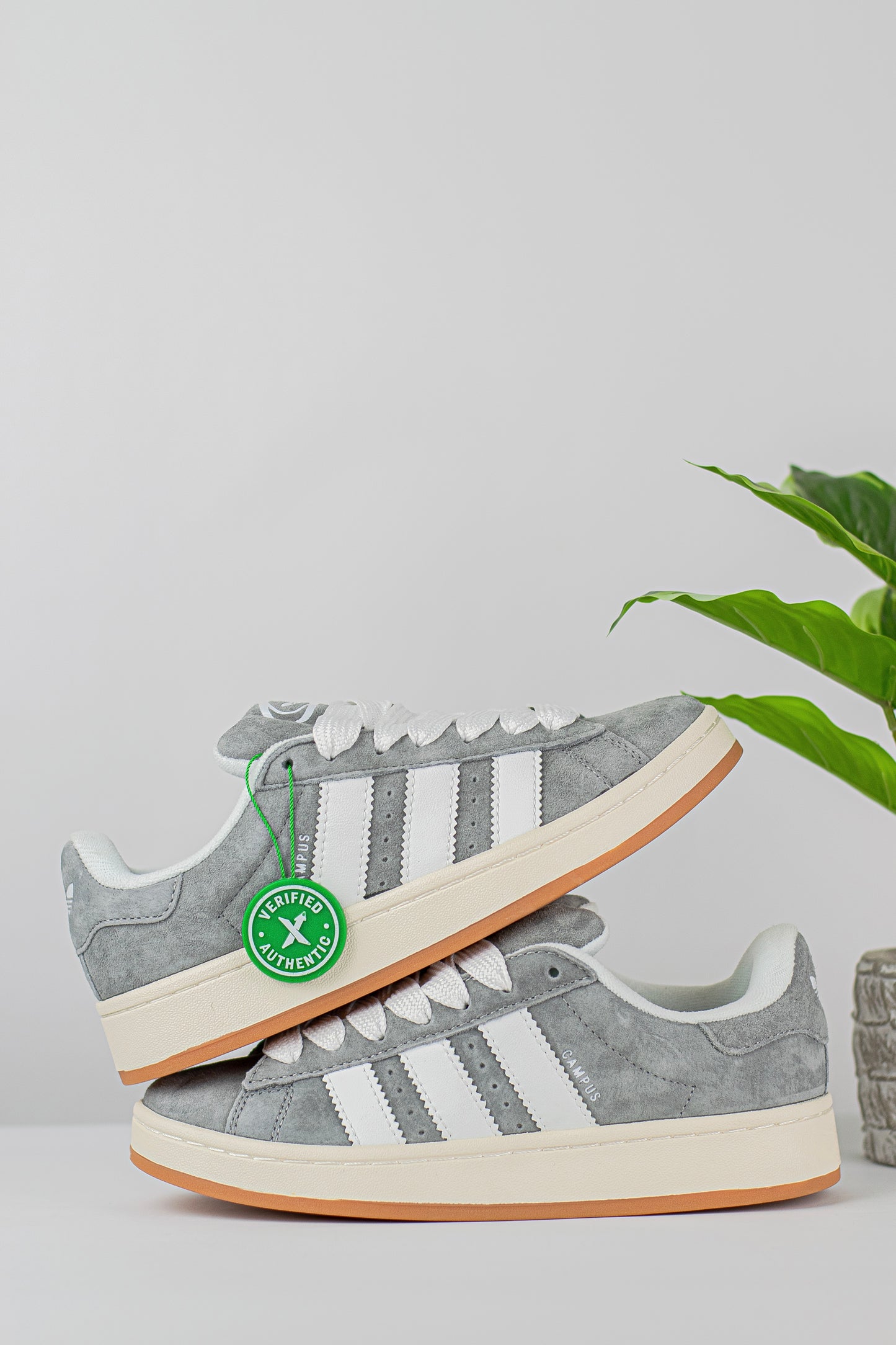 Adidas campus