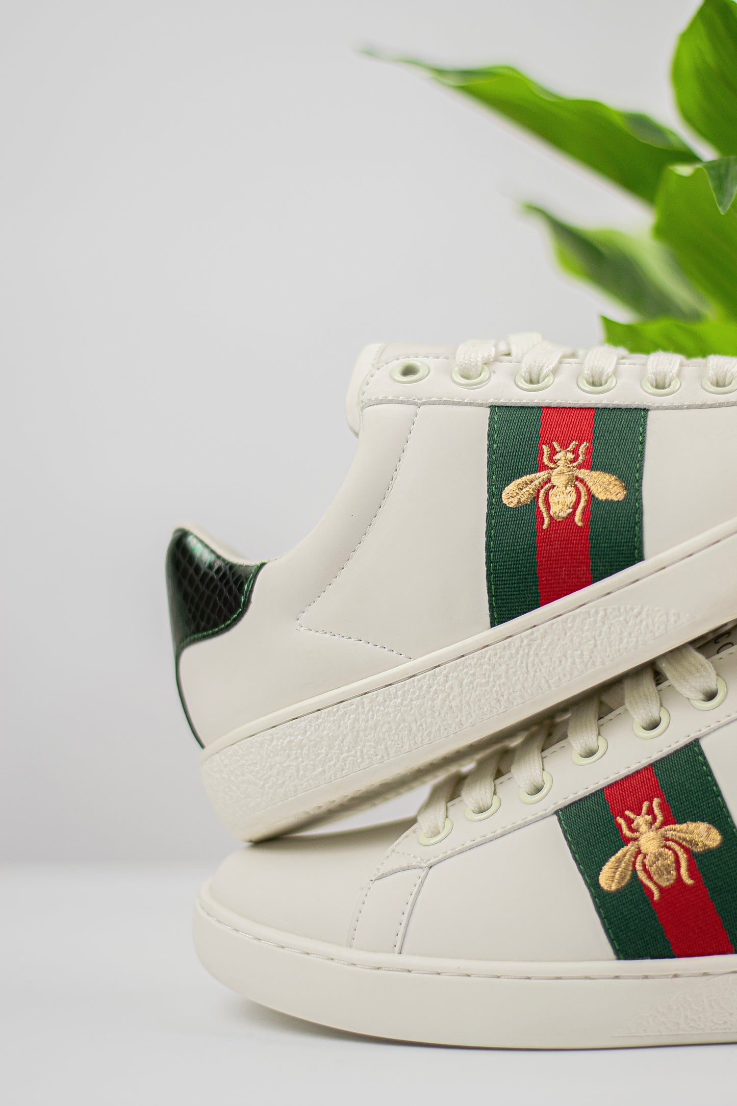 Gucci ace sneaker with bee