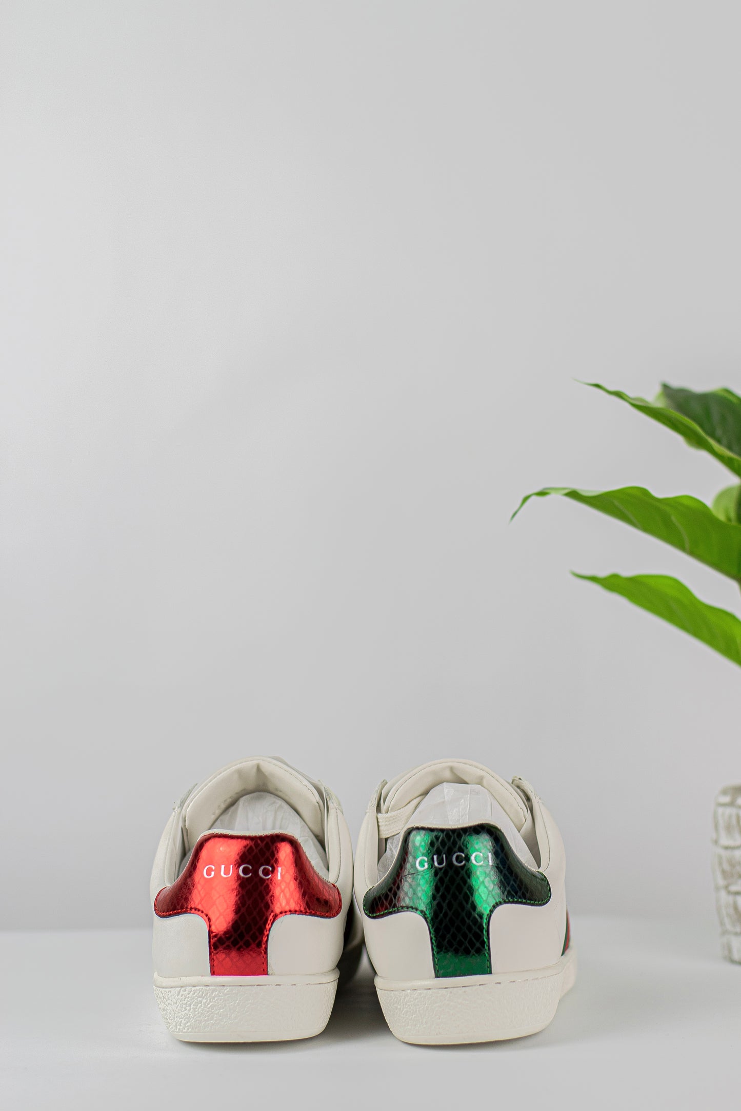 Gucci ace sneaker with bee
