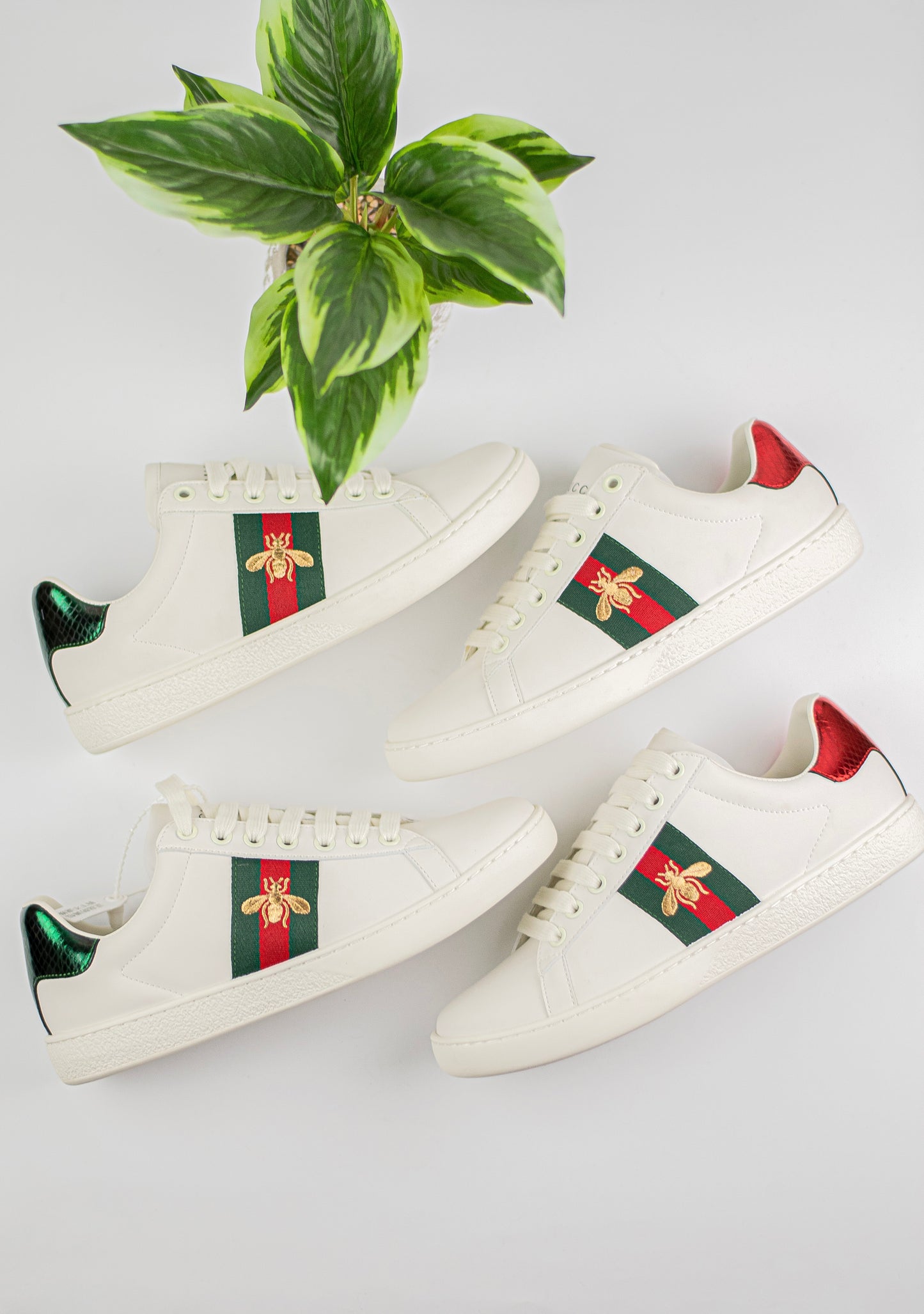Gucci ace sneaker with bee